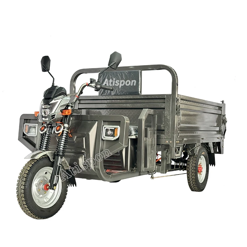 Hot Sale Safe And Reliable Cargo Truck Tricycle Electric Bike  Farming Tricycle  Of Farm
