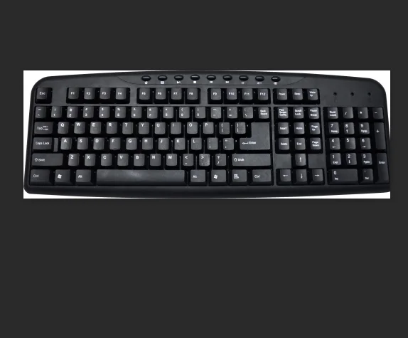 Standard keyboard KB2408