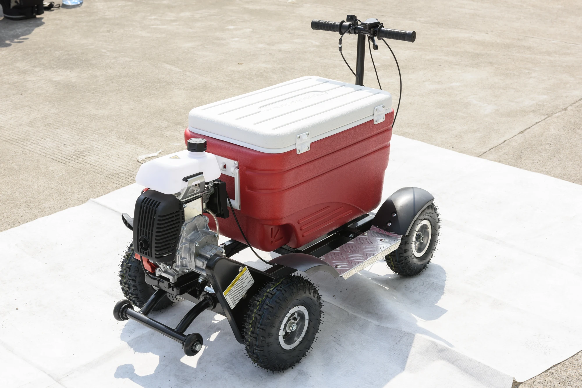 High Efficient Food Keeper Outdoor Camping Using Disk Brake Electric Motorized Cooler Scooter