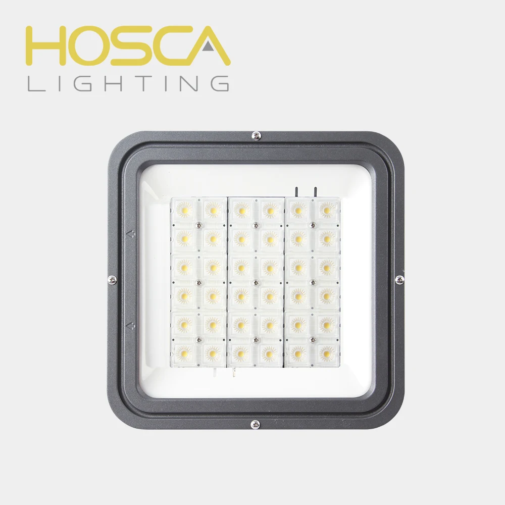 China Professional Manufacture Outdoor Ip66 Good quality LED Engine-retrofit 10W-100W LED module Outdoor lamp street lamp