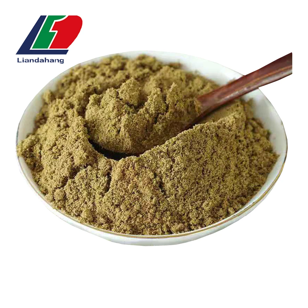 Newest Crop Cumin Seeds Indian In Egypt Agriculture