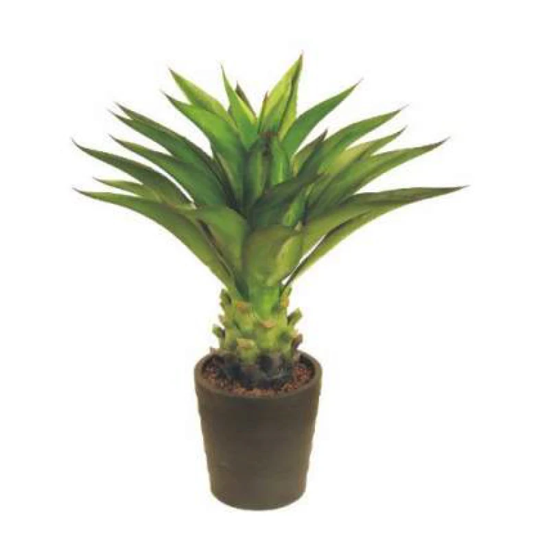 Hot sale cheap Sansevieria trifasciata Prain potted for indoor home decor bonsai artificial snake plant