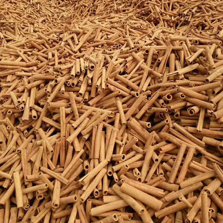Yulin Yingkai Hot Sale Premium Grade Cinnamon High Quality Organic Dried Cassia Sticks Spices AD Food Grade a Grade Raw Spicy