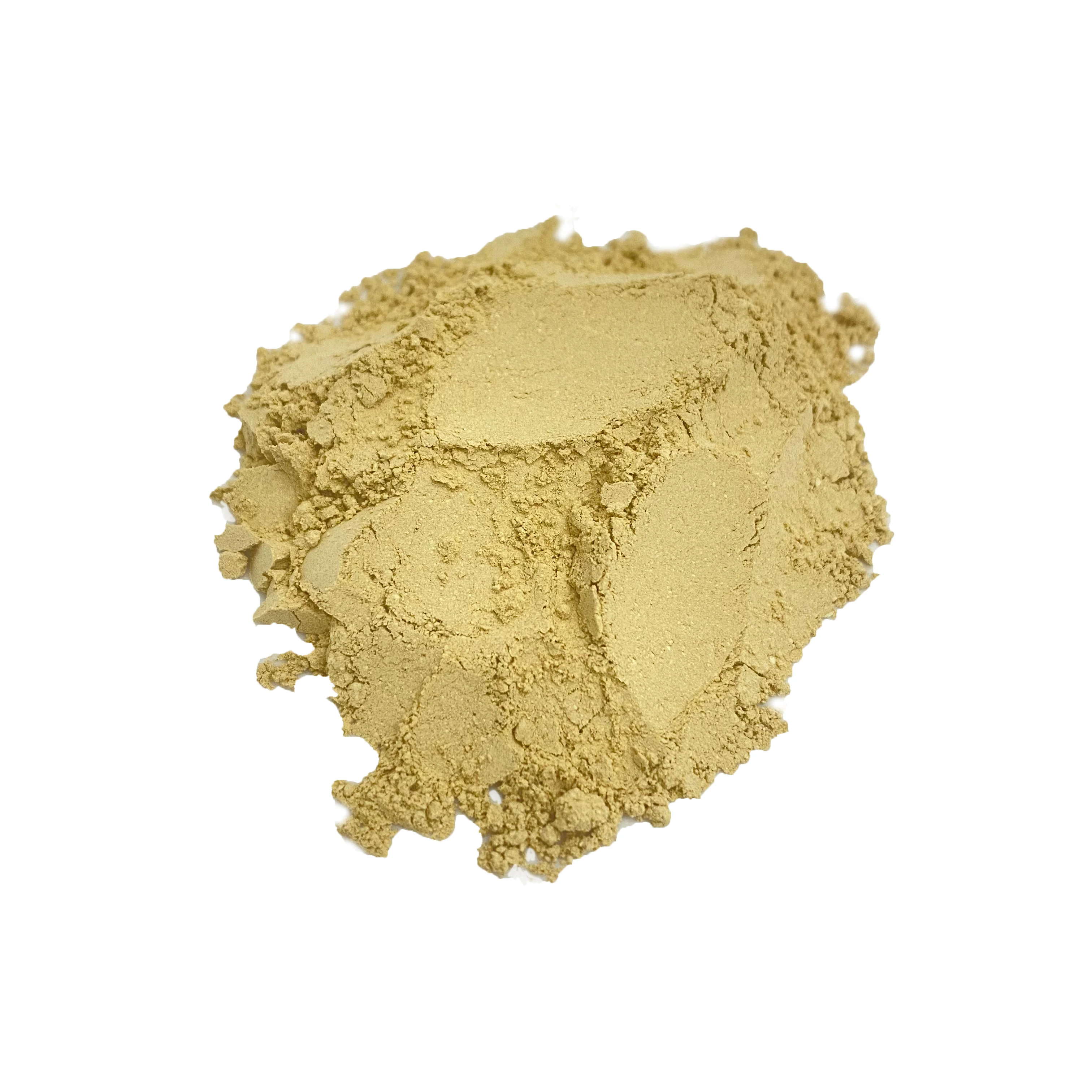 Best price nature plant saponin dry mangiferin Leaf powder dried mango leaves powder for healthcare