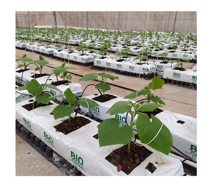 Agriculture Greenhouse cocopeat growing bags Hydroponics Strawberry Gutter System With Irrigation fittings