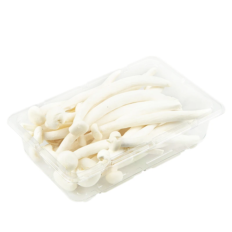Disposable PET Plastic Blister Mushrooms Punnet Lettuce Container Fruit And Vegetable Clamshell Tray Hinged Box With Holes
