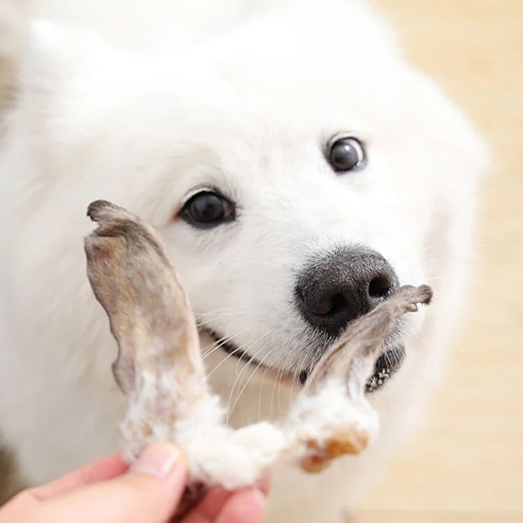 Оптовая продажа с завода сухие уголки для собак натуральные кроличьи уши жевательные