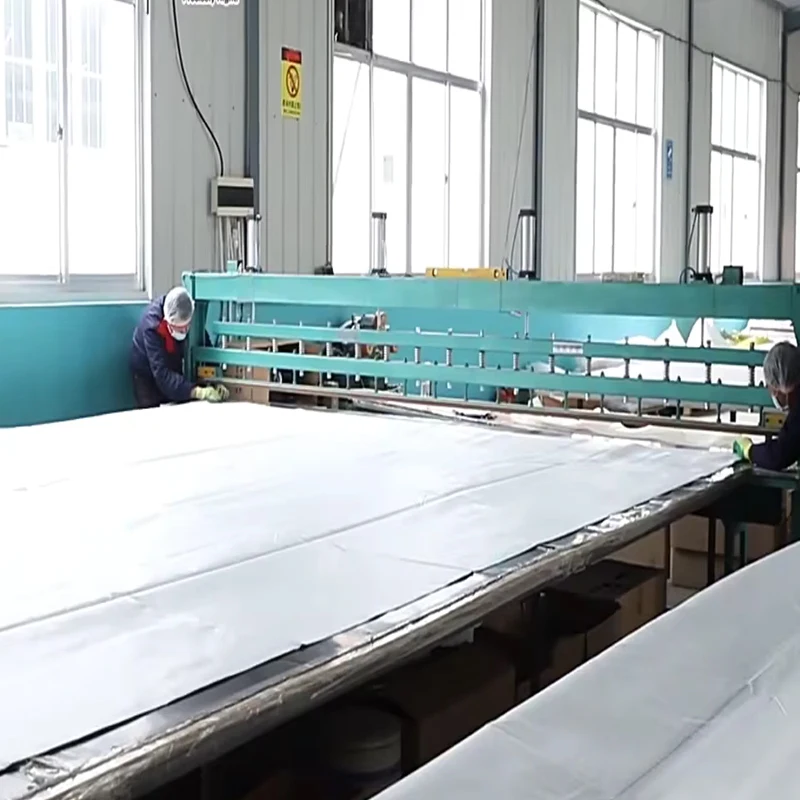 Truck Trailer Flexitank 48ft Container Flexibags for Sea Freight Land Liquid Transport