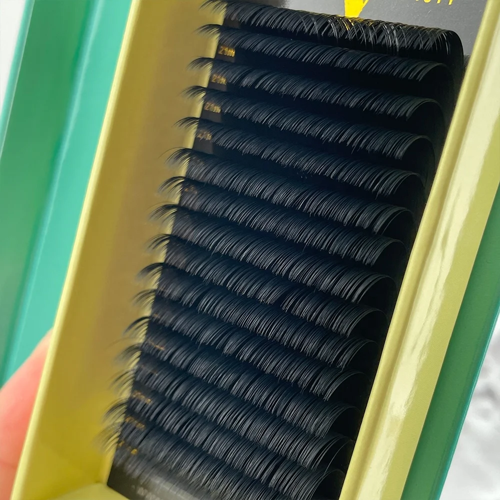 Wholesale Cashmere Full Lash Tray Supply Matte Black Silk Mega Russian Classic Luxury Volume Individual Eyelash Extension cils