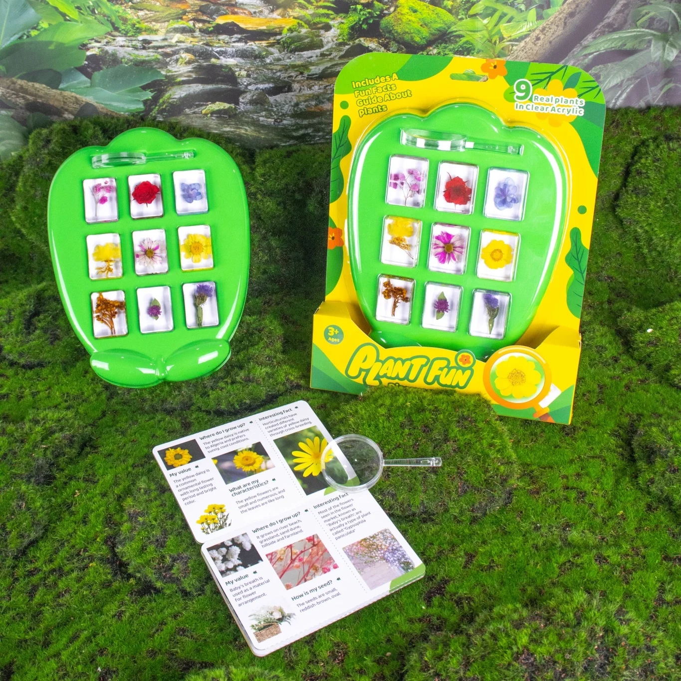 Wholesale Educational Insect Specimen Toys for Kids Early Nature Exploration Toy for Children