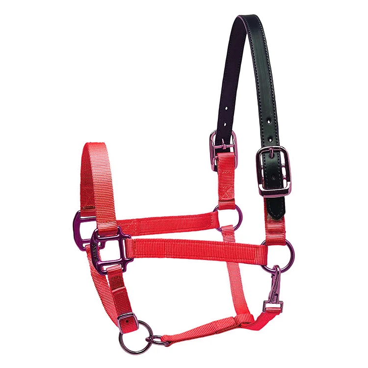  Оптовая продажа высокое качество лошадь headcollars производитель оборудование для лошадей в вашем собственном дизайне нейлоновые с лямкой на