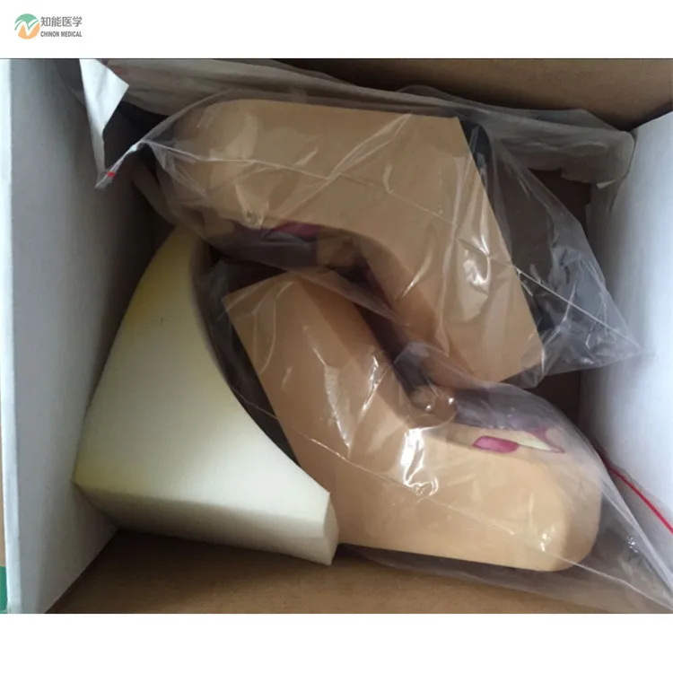 BIX-F5N medical science Female Intrauterine Contraceptive Training Model for Disease Demonstration Medical Teaching Tool