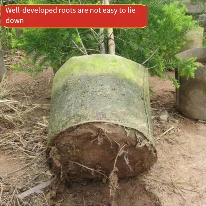 Custom environmentally friendly biodegradable planting bag transplant seedling pot planting bag thickened planting bag