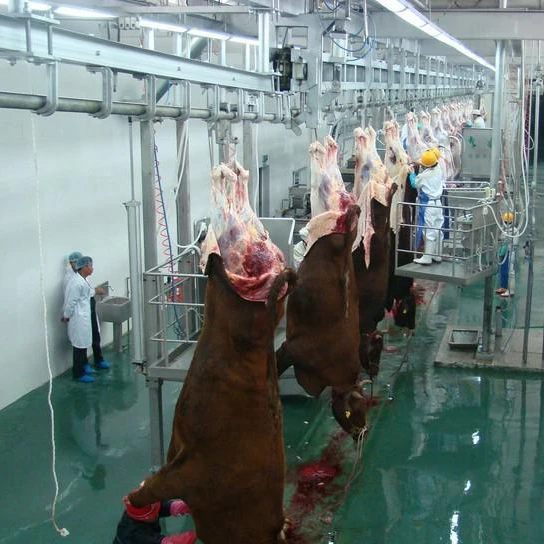 Full Slaughterhouse Solution for pig/cattle/sheep and equipment