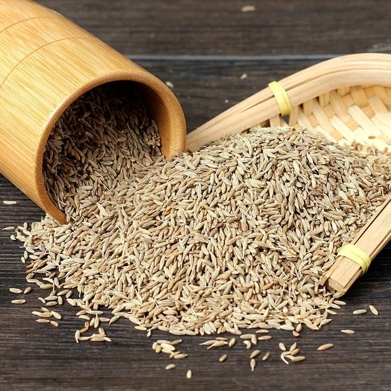 Yulin Yingkai Price Natural Cumin Seeds India Single Spice and Herb Cumin seeds purchased from manufacturers in India