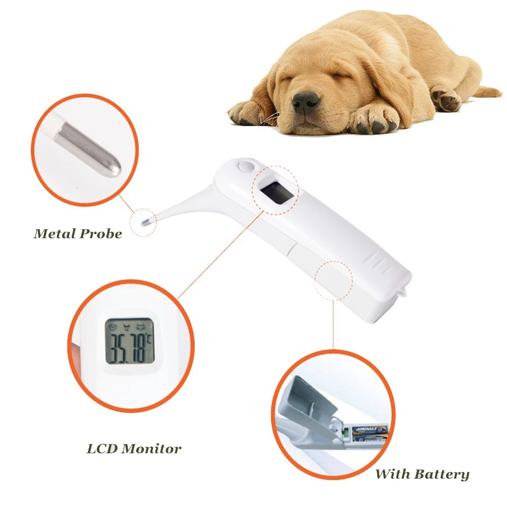 Animal Electronic Ehermometer Pet Thermometer Digital Thermometer is a Fast Rectal Thermometer for Dogs Horse Cats Pigs Sheep