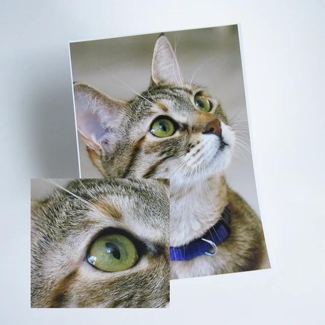 Chinese Manufacturer Glossy Photo Paper Brightness100 for Inkjet Printers Safe & Fast Worldwide Ship