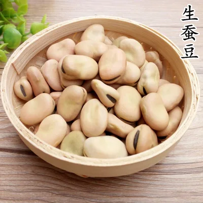 High Quality Broad Bean