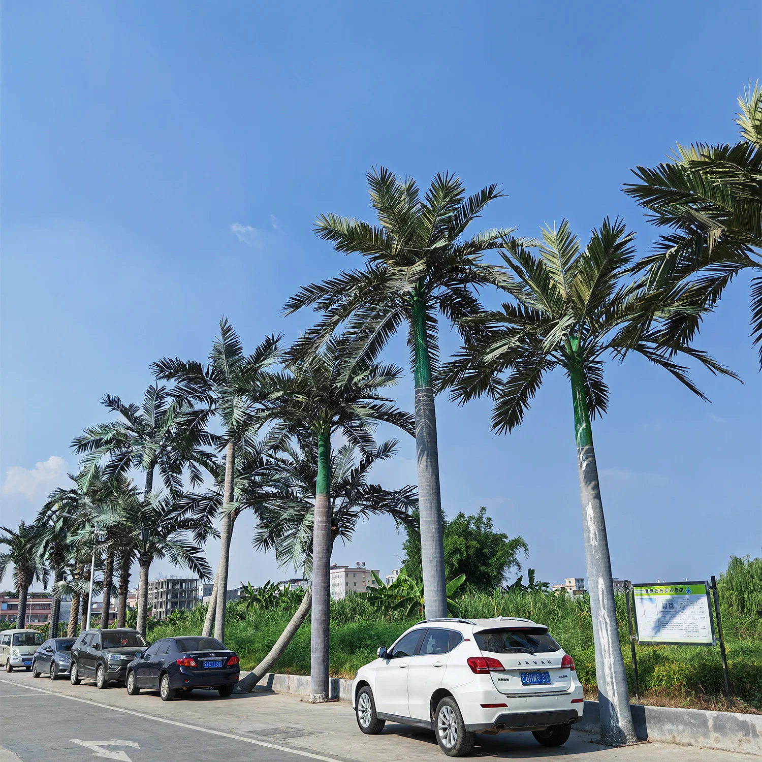 Wholesale external artificial palm trees at 4m