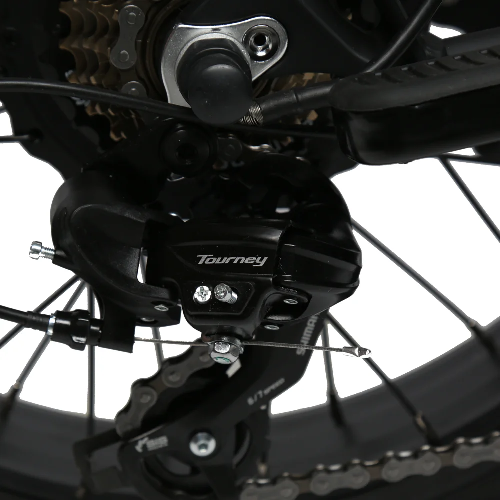 TXED Recreational electric bike motorcycles 20inch 7 speed 250W motor ebike 15.6Ah Lithium Battery electric hybrid bicycle