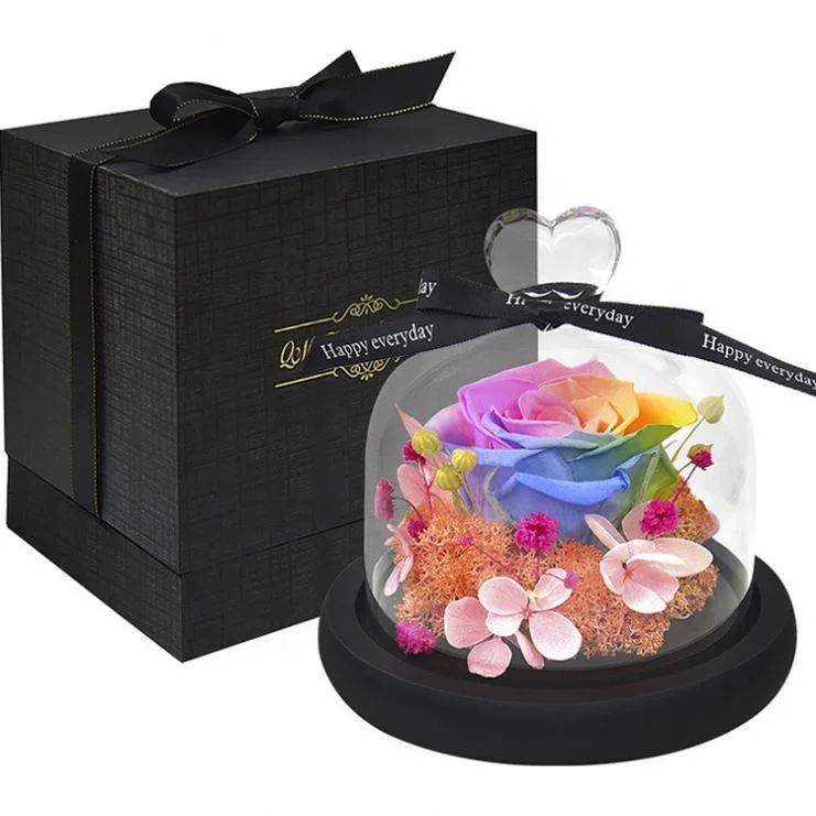 OEM Perfect Valentines Day Gifts Multiple Colours Eternal Rose Conservata Preserved Everlasting Real Rose Flower in Glass Dome