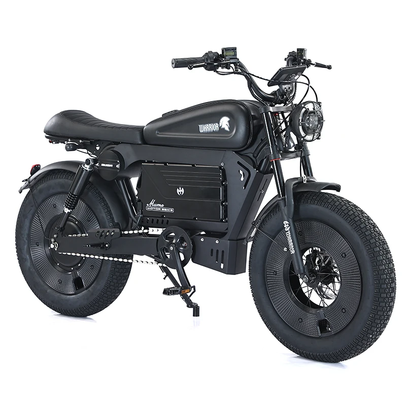 Черный воин Электрический велосипед батарея литиевая высокого качества E-bike 48V 60V