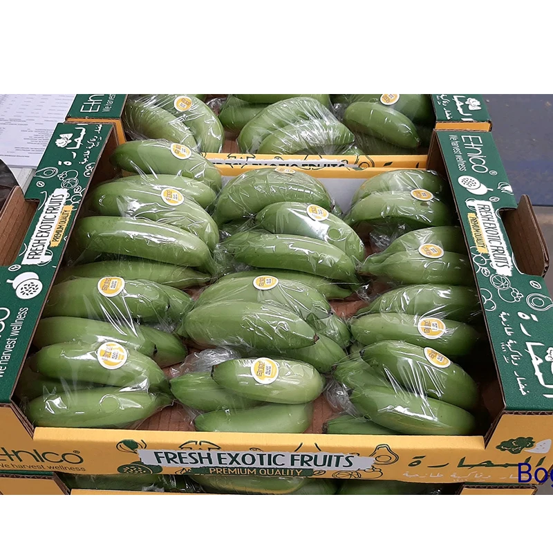 Fresh Corp Fruit Banana Bocadillo Best Fresh Wholesale Baby Banana On Selling