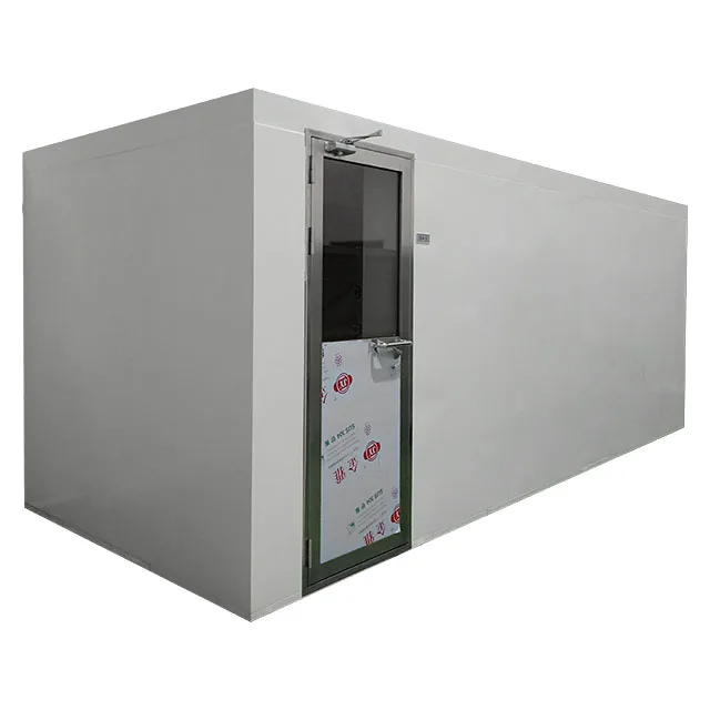coated steel air shower for clean room