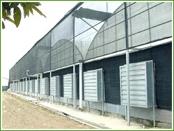 Galvanized sheet negative pressure fan with high operation efficiency directly sold by manufacturer