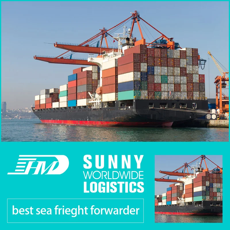 swwls Professional Sea shipping agent from China to France Italy Spain Germany and other European country