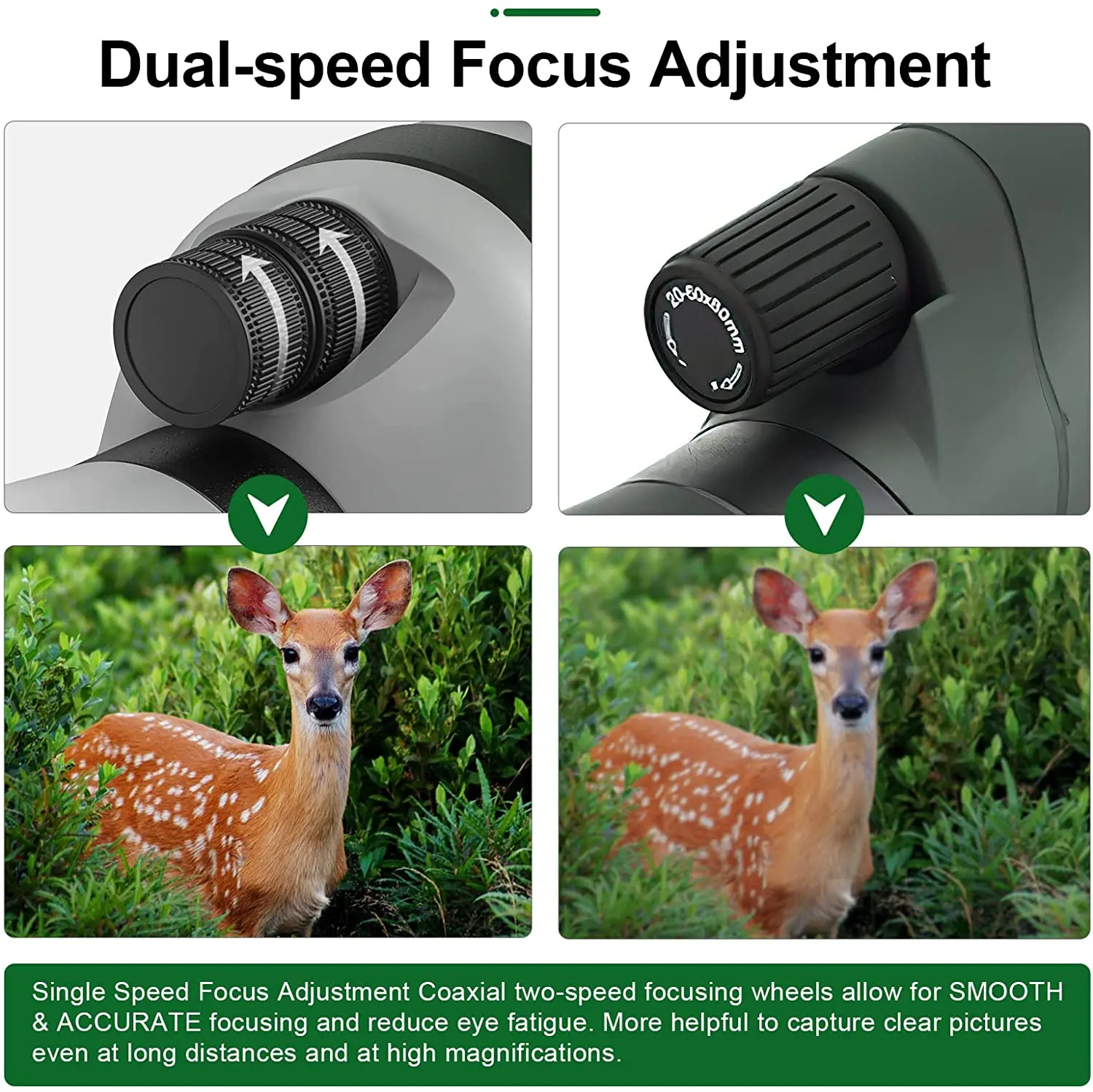 SUNCORE 20-60X80 точечная труба со штативом, сумка для переноски, двойная фокусировка и большой окуляр 24 мм-HD BAK4 точечная труба