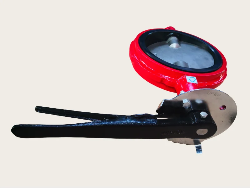 8 Inch ANSI CL150/ANSI125 Ductile Iron Ggg50 Red Color Wafer Type Butterfly Valve Suitable for American Market