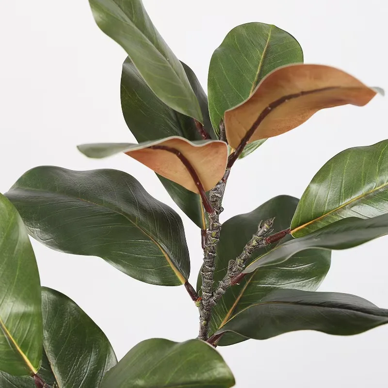 New Arrival Ins Faux Magnolia Real Touch Latex Branch Leaves Artificial Greenery For Indoor Sring Home Hotel Decoration