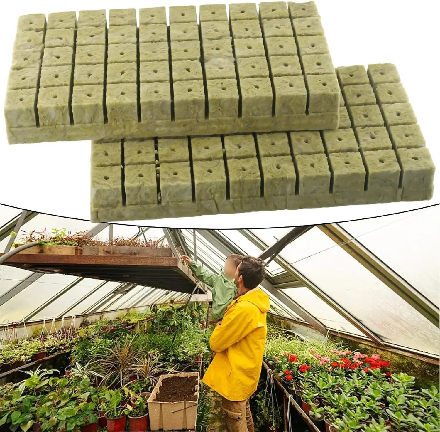 E39 Hydroponic Instead Of Netpots Cocopeat Clone Seed Starter Hydroponic Growing Systems Rock Wool Cubes Hydroponic Rock Wool