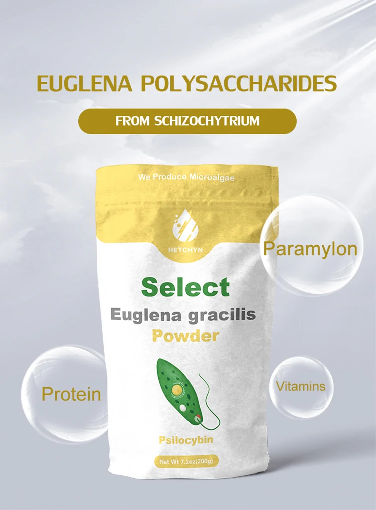 Высококачественный порошок Euglena Gracilis 60% парамилона