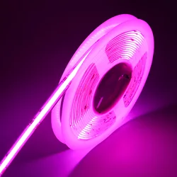 New Project Installation Dream Color Led Strip light Rgbw Cob Magic Digital Addressable Rgb COB Strip Light