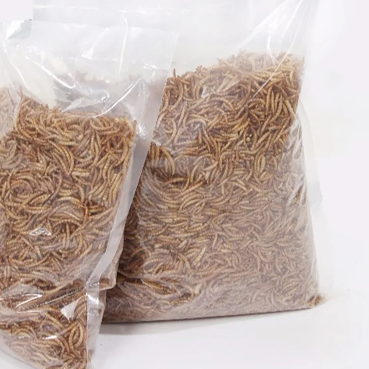 Хомяк еда Хлеб Wormcricket насекомое Сушеные mealworm желтые насекомые для корма для животных сушеные насекомые для продажи