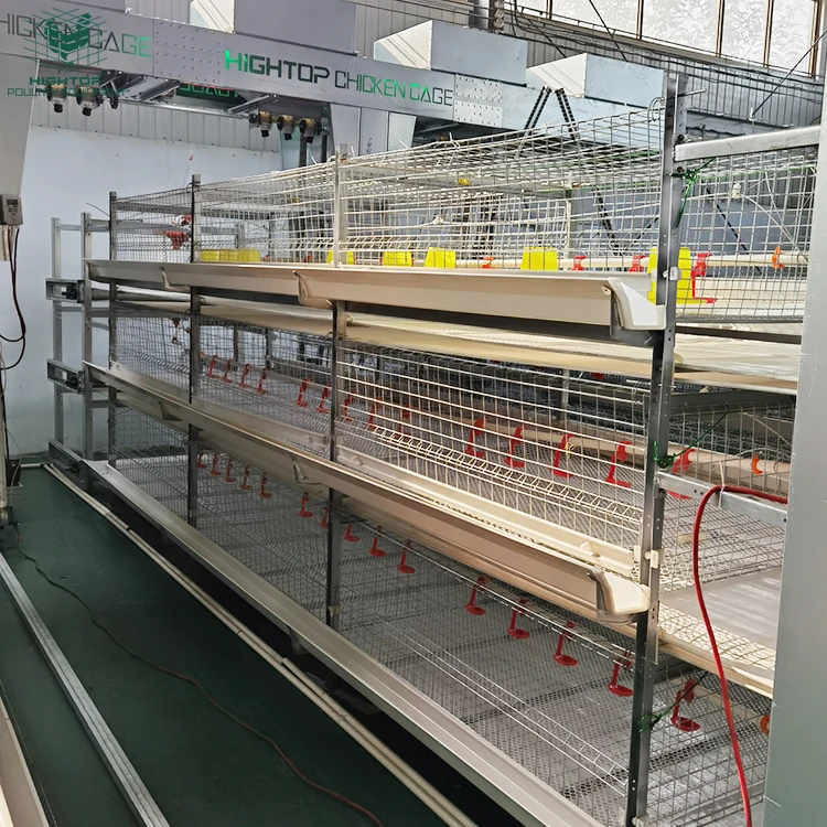 Cheap Price Automatic H Type 3 Tier Battery Broiler Chicken Cages From Broiler Chicken Cage Manufacturer