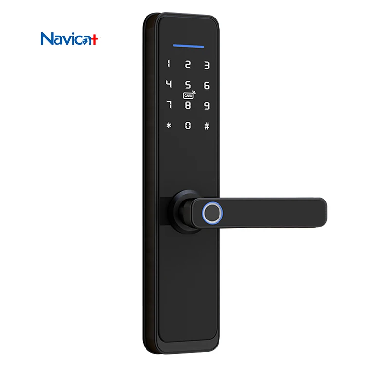 Rfid hidden push pull euro cylinder mechanical remote intelligent lock fingerprint app