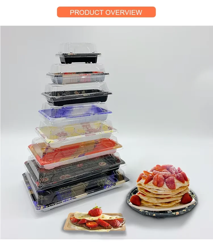 Food Packaging Boxes Sushi Tray with Transparent Round Cover Ecofriendly Plastic Package Food Grade OEM ODM Available Sushi Tray