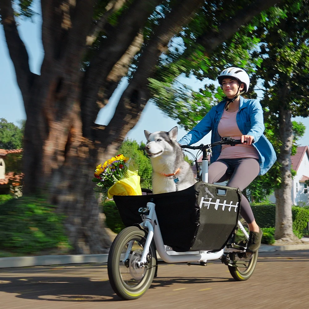 for adult cargo bicycle electric ebike 2024 electric cargo bicycle wholesale delivery cargo bicycle