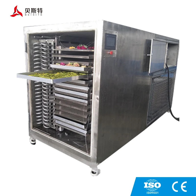 vacumn freeze dryer (14).jpg