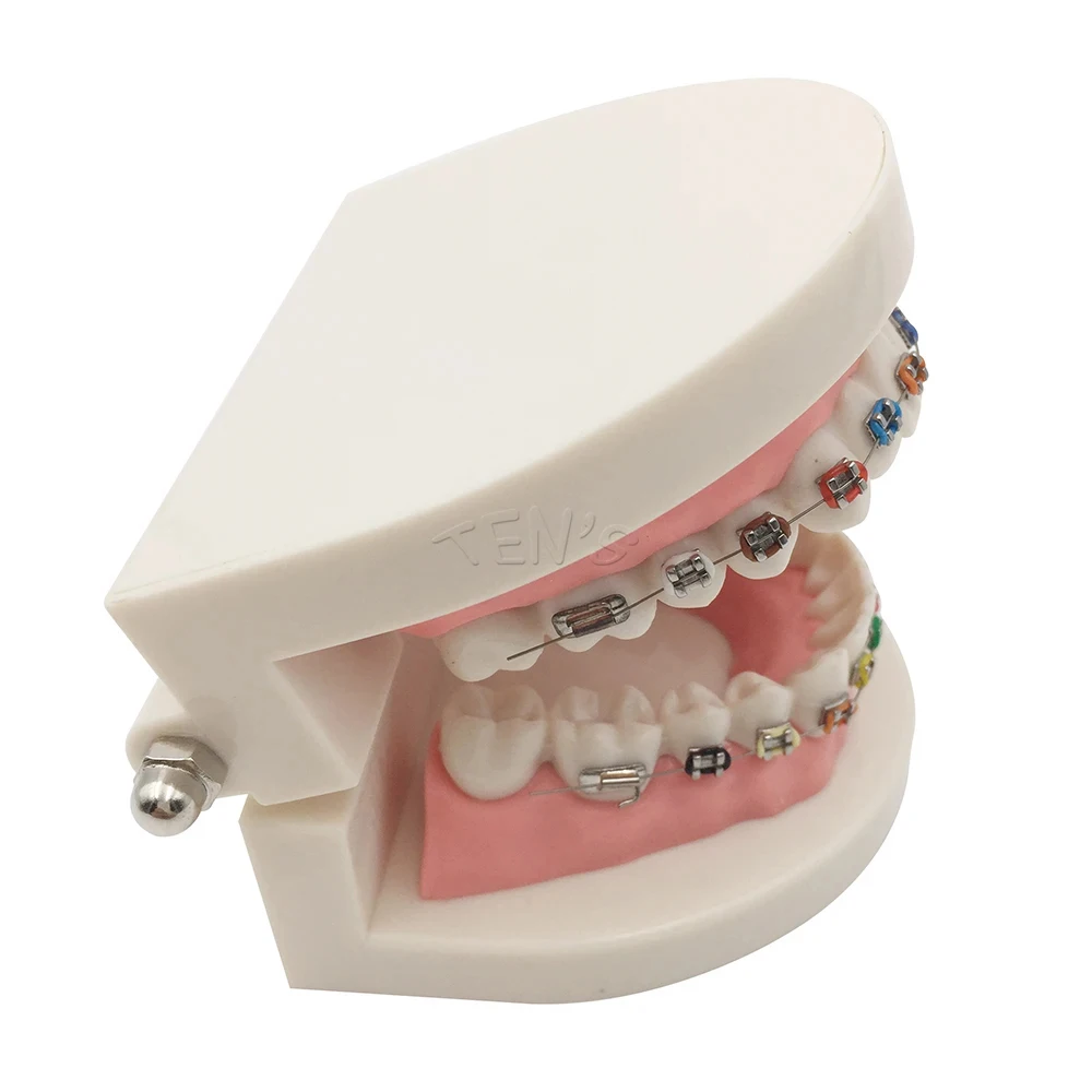 New Arrival Dental Equipments Brackets Products Odontologia Fashion Braces for Teeth