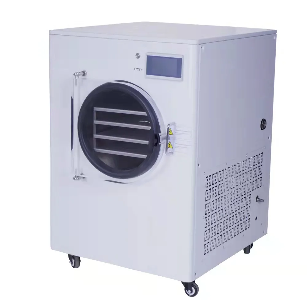 2021 Industrial Food Freeze Dryer Machine from China Manufacturer Home Small Mini Vacuum Freeze Dryers Lyophilizer for Sale