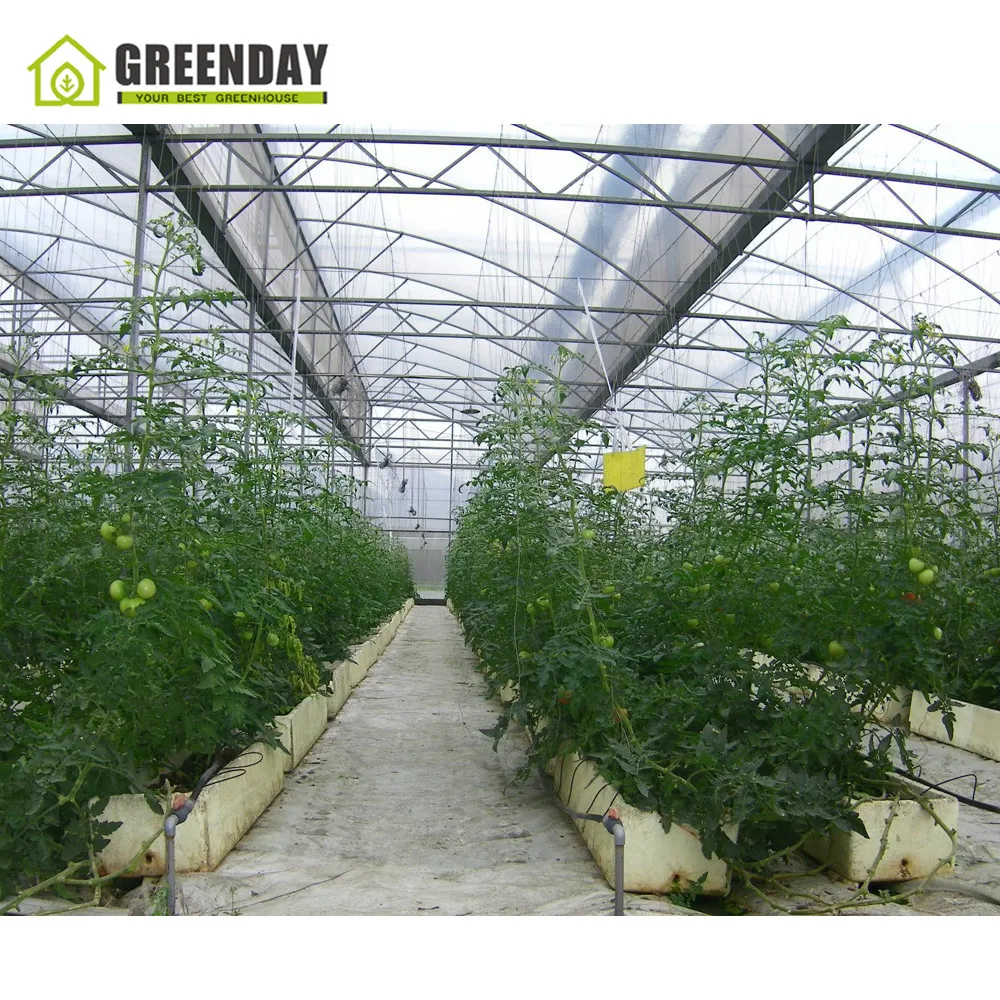 
GREENDAY Indoor hydroponics 4/8 burners CO2 generator greenhouse plant growth 