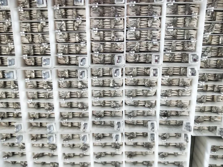 12V 30AH YB30CL-B jet ski motor battery