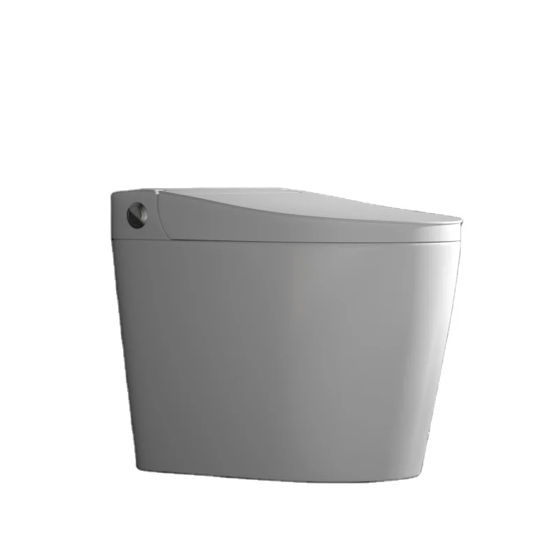 SIMILAR Factory Bathroom Non Electric Bidet Pulse Toilets Bowl
