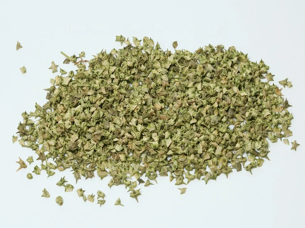 
Low pesticide residue Tribulus terrestris extract /Chinese traditional herb/ Chinese name Ci Ji Li 