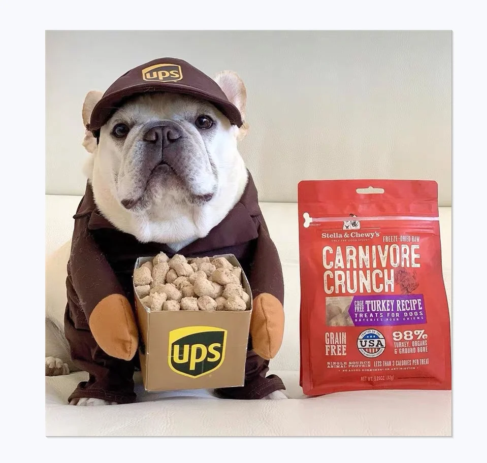 Pet Transform Cute Party Cross-dress Send Courier And Murderer Doll Halloween Dog Clothes