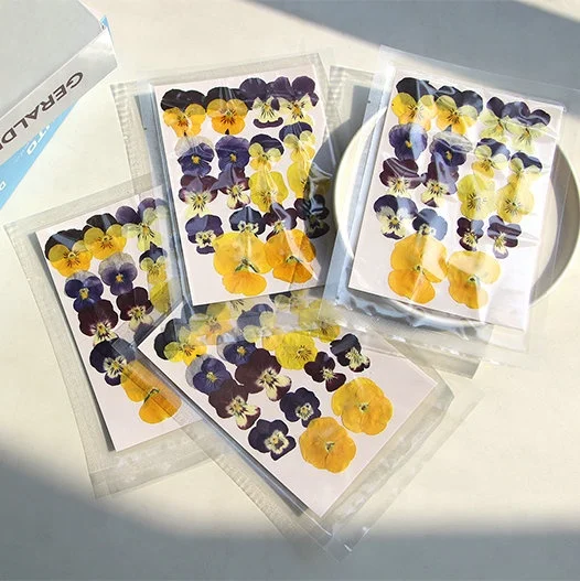 18pcs/pack Pansy/Violet/Viola Pressed Flower Mix Colors Bag For Wax Seal Epoxy Resin Jewelry Phone Case And DIY Craft